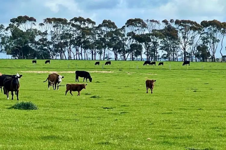 Second view of Homely rural property listing, Lot 3 Castle Carey Road, Mortlake VIC 3272
