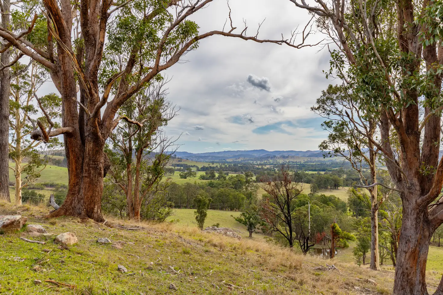 Main view of Homely rural property listing, 1712 Stroud Hill Road, Dungog NSW 2420