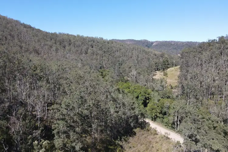 Main view of Homely rural property listing, 786 Terreel Road, Wards River NSW 2422