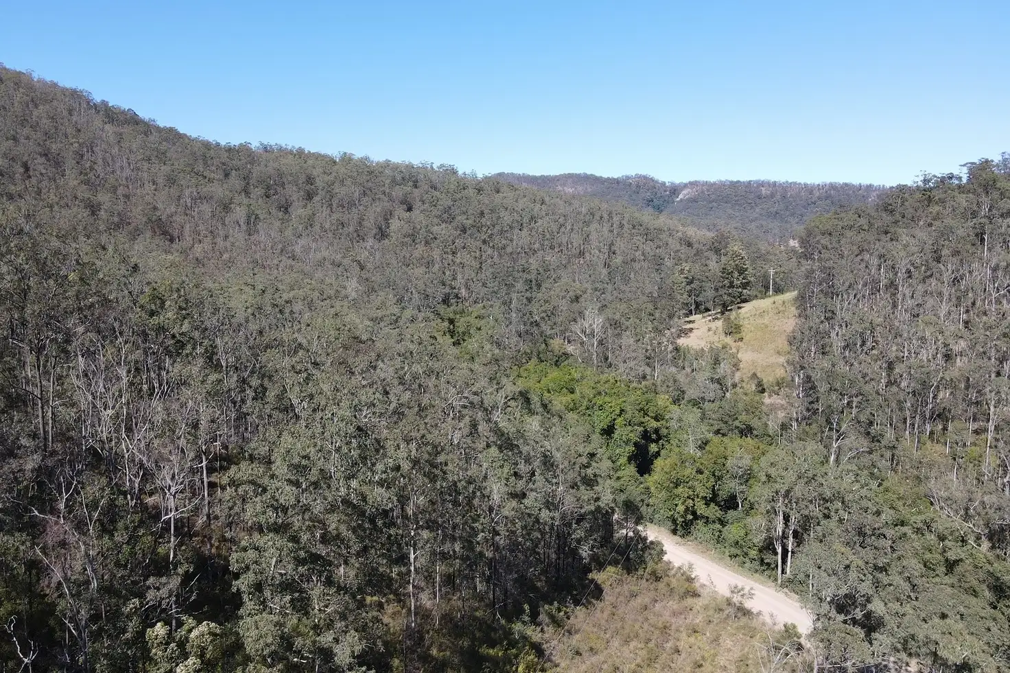 Main view of Homely rural property listing, 786 Terreel Road, Wards River NSW 2422
