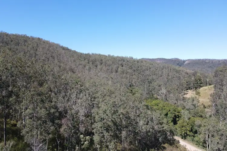 Second view of Homely rural property listing, 786 Terreel Road, Wards River NSW 2422