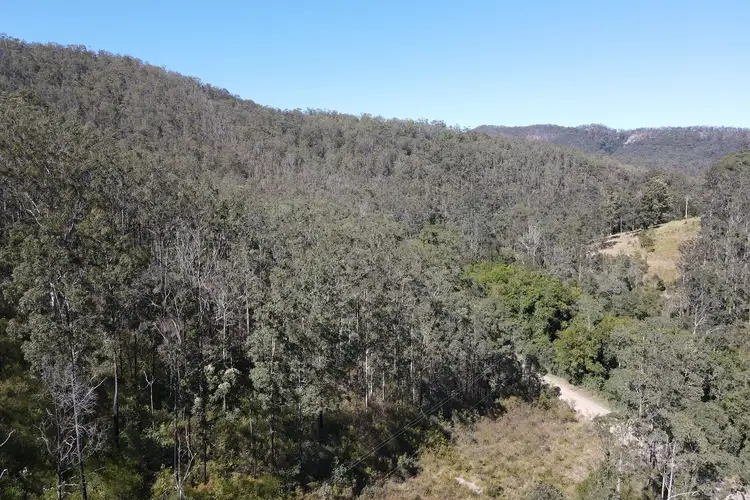 Fourth view of Homely rural property listing, 786 Terreel Road, Wards River NSW 2422