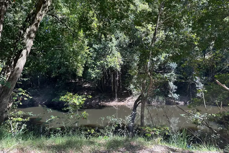 Fifth view of Homely rural property listing, 786 Terreel Road, Wards River NSW 2422