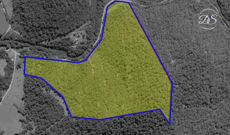 Sixth view of Homely rural property listing, 786 Terreel Road, Wards River NSW 2422