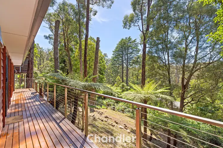Second view of Homely house listing, 7 Peters Road, Belgrave VIC 3160