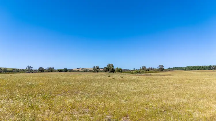 Fourth view of Homely rural property listing, Address available on request