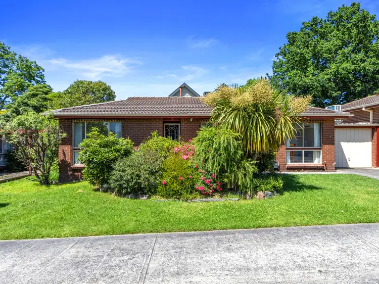 6/12-14 Norman Road