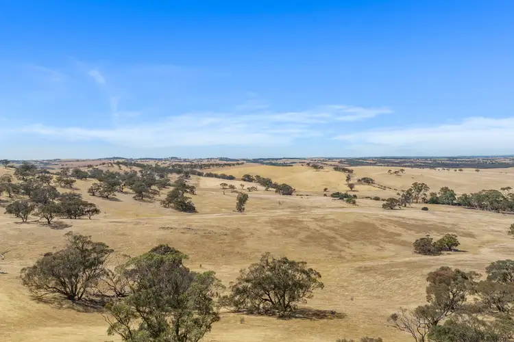 Second view of Homely rural property listing, 413 Watunga Road, Koonunga SA 5373