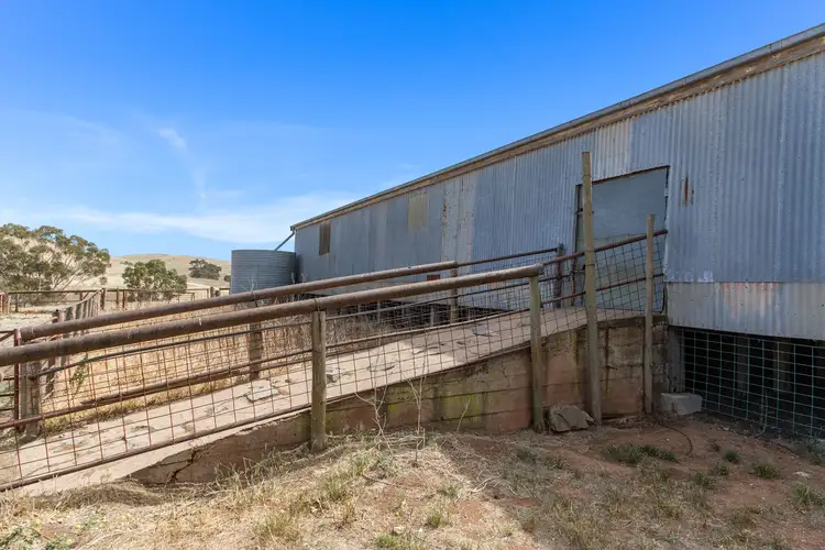 Fifth view of Homely rural property listing, 413 Watunga Road, Koonunga SA 5373