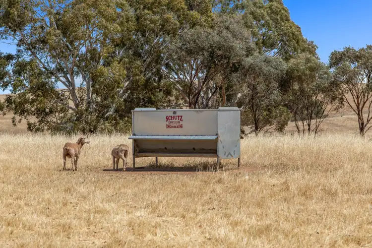 Sixth view of Homely rural property listing, 413 Watunga Road, Koonunga SA 5373