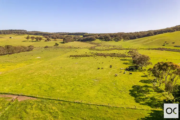 255A Yundi Road, Yundi SA 5172
