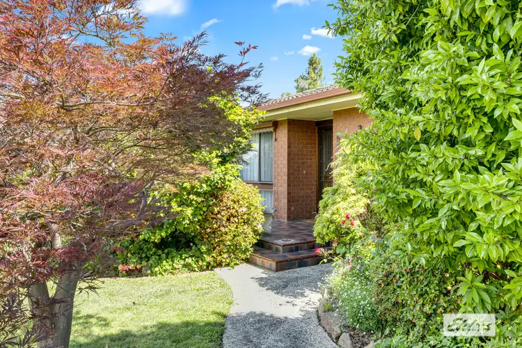 1009 Fairview Drive, North Albury NSW 2640