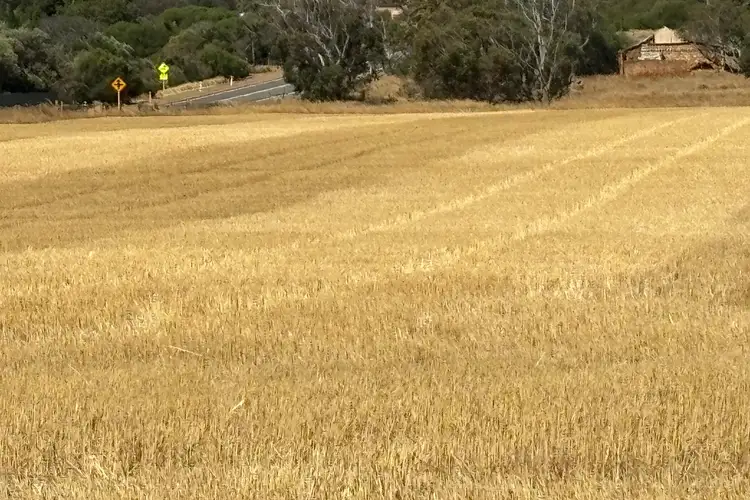 Fifth view of Homely rural property listing, Geraldton Mount Magnet Road, Moonyoonooka WA 6532