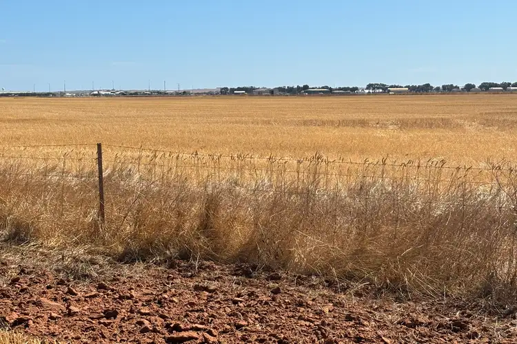 Sixth view of Homely rural property listing, Geraldton Mount Magnet Road, Moonyoonooka WA 6532