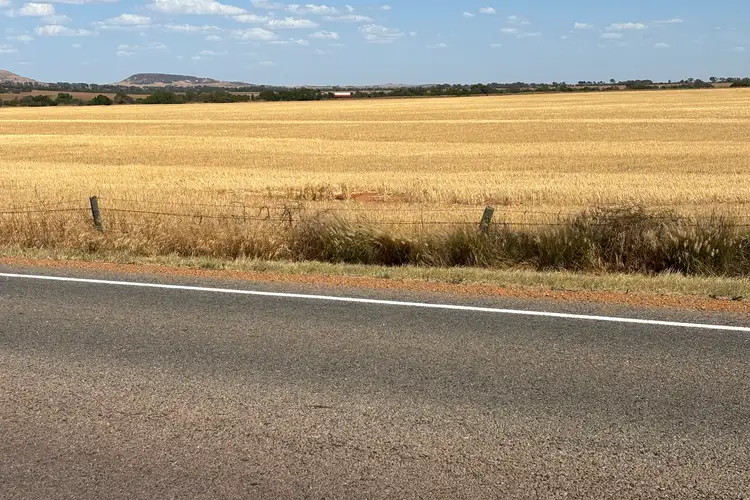 Seventh view of Homely rural property listing, Geraldton Mount Magnet Road, Moonyoonooka WA 6532