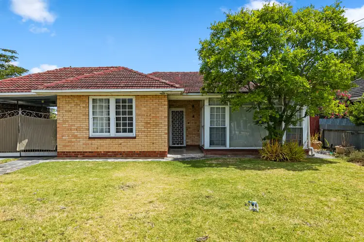 24 Curzon Street, Camden Park SA 5038