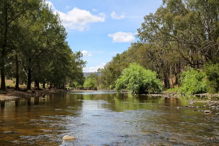 Main view of Homely rural property listing, 2195 Namoi River Road, Manilla NSW 2346