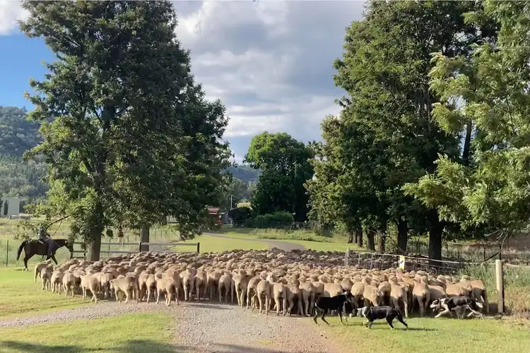 Second view of Homely rural property listing, 2195 Namoi River Road, Manilla NSW 2346