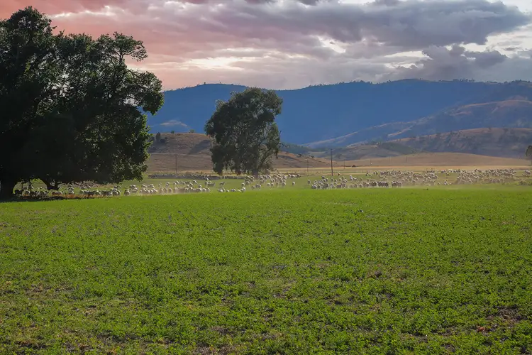 Third view of Homely rural property listing, 2195 Namoi River Road, Manilla NSW 2346