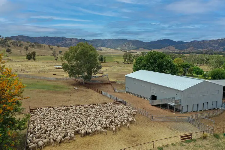 Fifth view of Homely rural property listing, 2195 Namoi River Road, Manilla NSW 2346