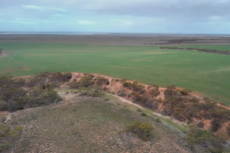 Main view of Homely land listing, 109 Birdseye Highway, Cowell SA 5602