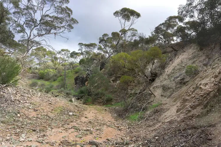 Second view of Homely land listing, 109 Birdseye Highway, Cowell SA 5602