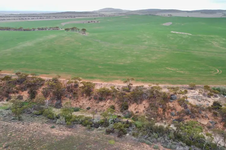 Fifth view of Homely land listing, 109 Birdseye Highway, Cowell SA 5602