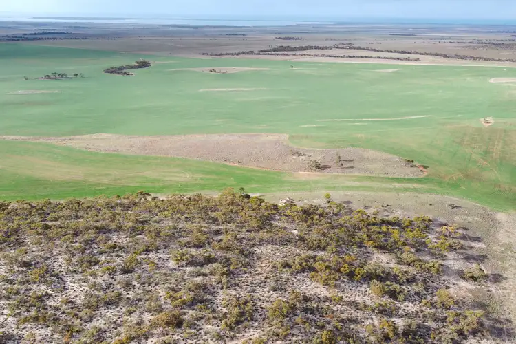 Sixth view of Homely land listing, 109 Birdseye Highway, Cowell SA 5602