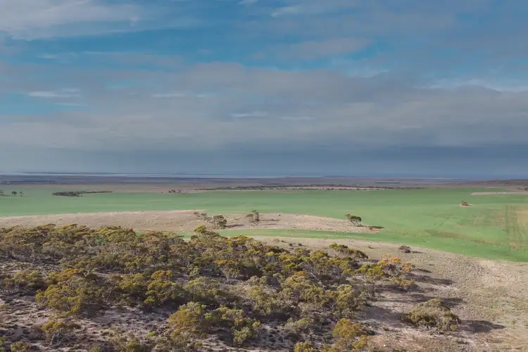 Seventh view of Homely land listing, 109 Birdseye Highway, Cowell SA 5602
