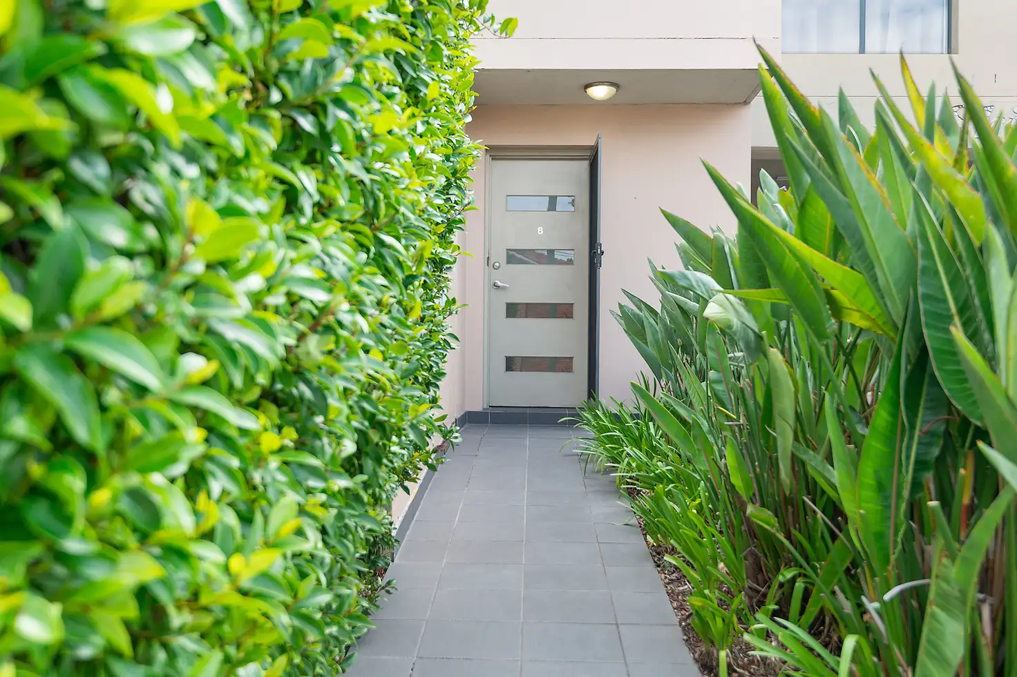 Main view of Homely townhouse listing, 8/5-7 Dibbs Street, Canterbury NSW 2193