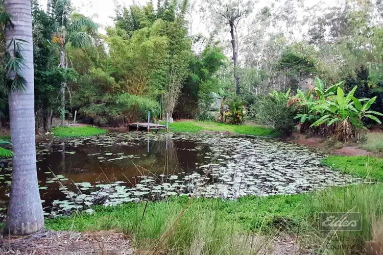Fourth view of Homely house listing, 73 Arbornine Road, Glenwood QLD 4570