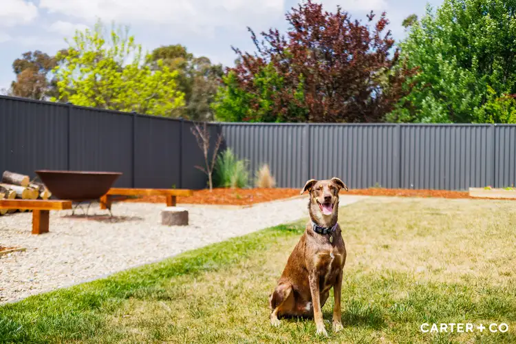 11 Rosella Place, Bungendore NSW 2621