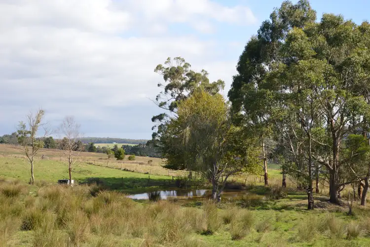 Third view of Homely rural property listing, 16B Antonia Road, Boolarra VIC 3870
