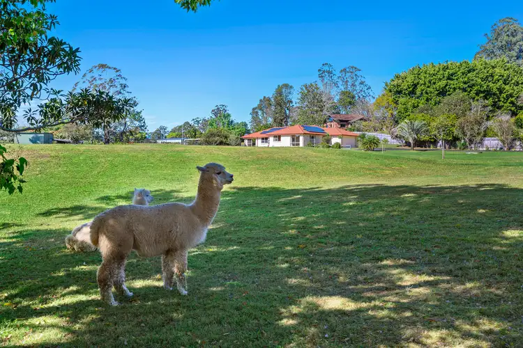 Second view of Homely house listing, 33 Faviell Drive, Bonville NSW 2450
