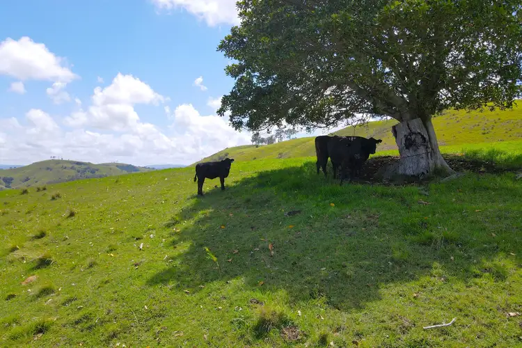 Fourth view of Homely rural property listing, Lot 1/760 Sugarloaf Road, Dungog NSW 2420