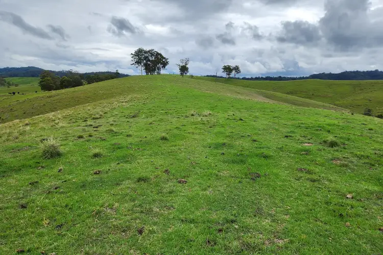 Fifth view of Homely rural property listing, Lot 1/760 Sugarloaf Road, Dungog NSW 2420