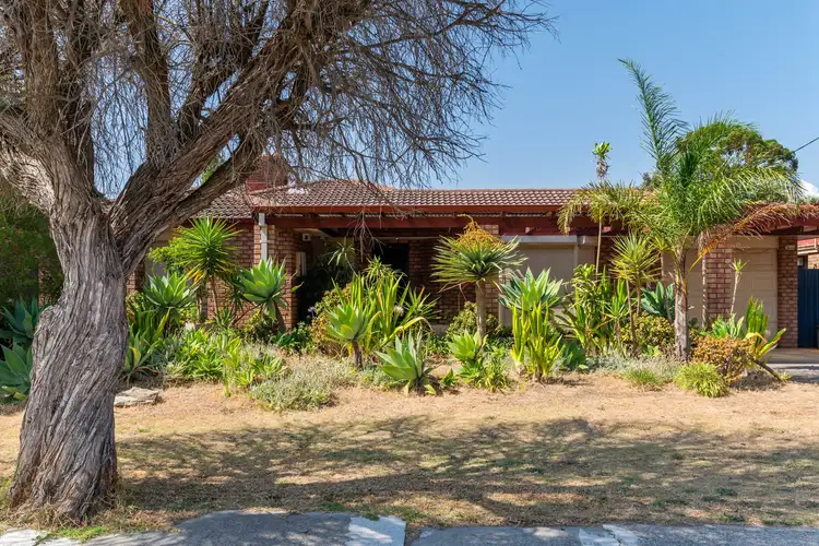 58 Chamberlain Street, Gosnells WA 6110