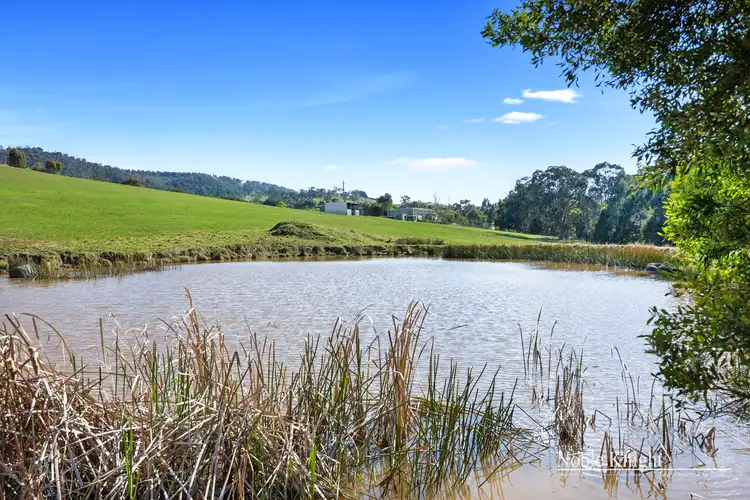 Fifth view of Homely rural property listing, 1081 Break O'Day Road, Glenburn VIC 3717