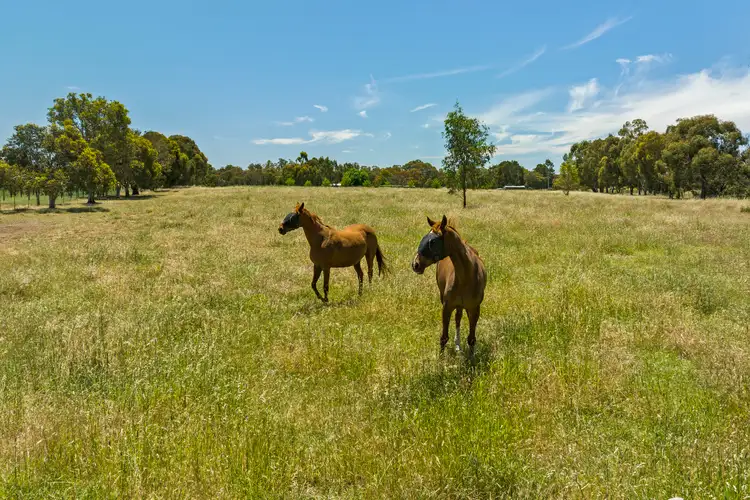 806 Aerodrome Road, Avenel VIC 3664
