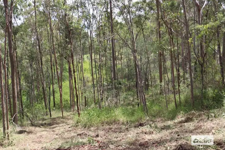Second view of Homely land listing, 56 Mountain Road, Summerholm QLD 4341
