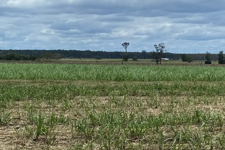 Third view of Homely rural property listing, LOT 1, 108-109 Back Kings Creek Road, Lawrence NSW 2460