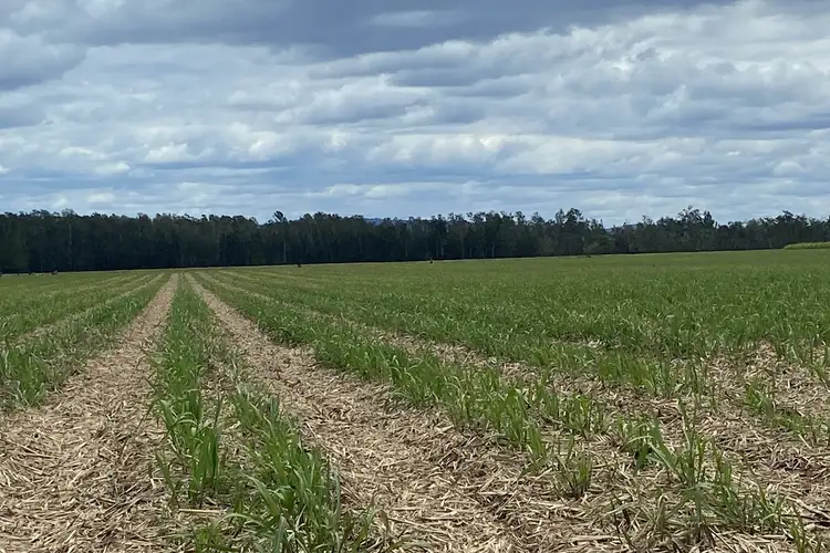 Sixth view of Homely rural property listing, LOT 1, 108-109 Back Kings Creek Road, Lawrence NSW 2460