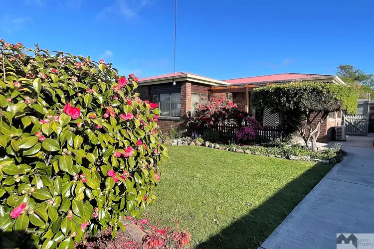 19 Jenner Street, Wynyard TAS 7325