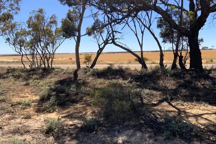 Second view of Homely land listing, LOT 72 Piesse Street, Yelbeni WA 6487
