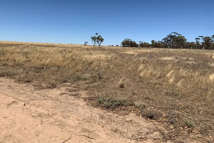Third view of Homely land listing, LOT 72 Piesse Street, Yelbeni WA 6487