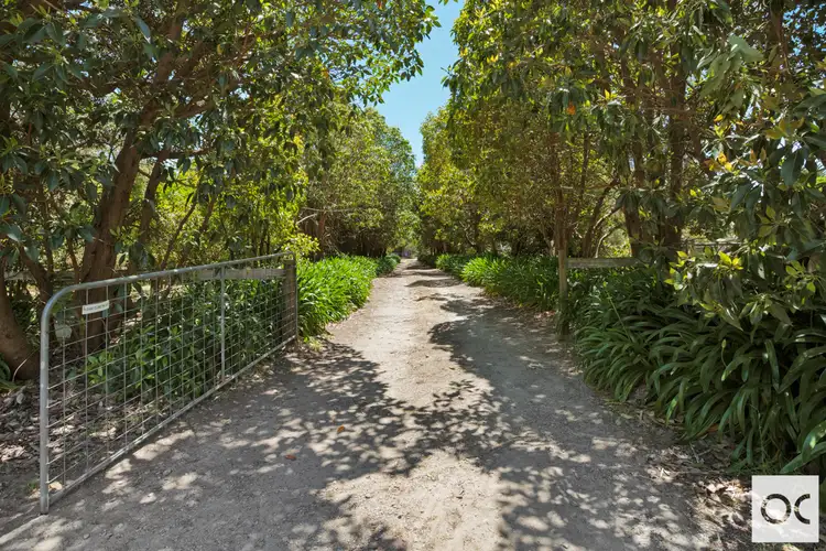 369 Badgers Road, The Range SA 5172