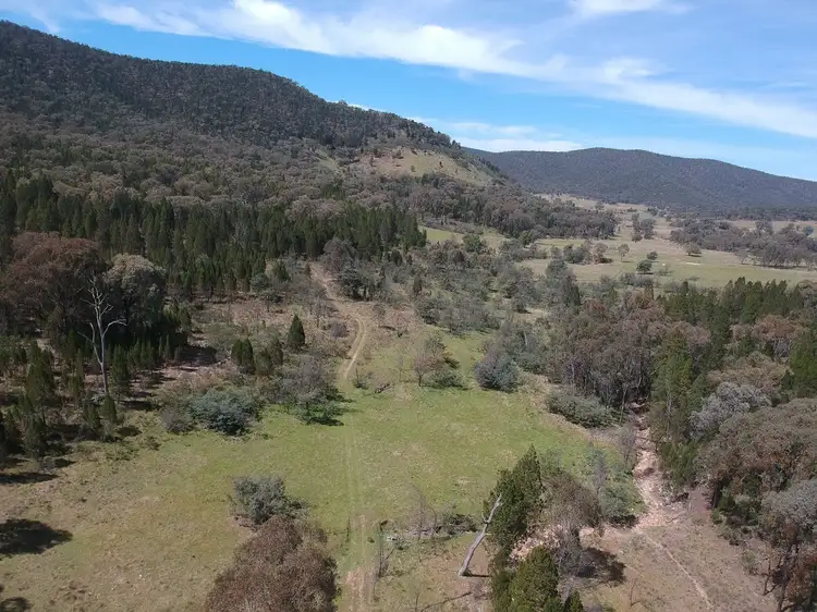 Third view of Homely rural property listing, 154 Patterson Lane, Gooloogong NSW 2805