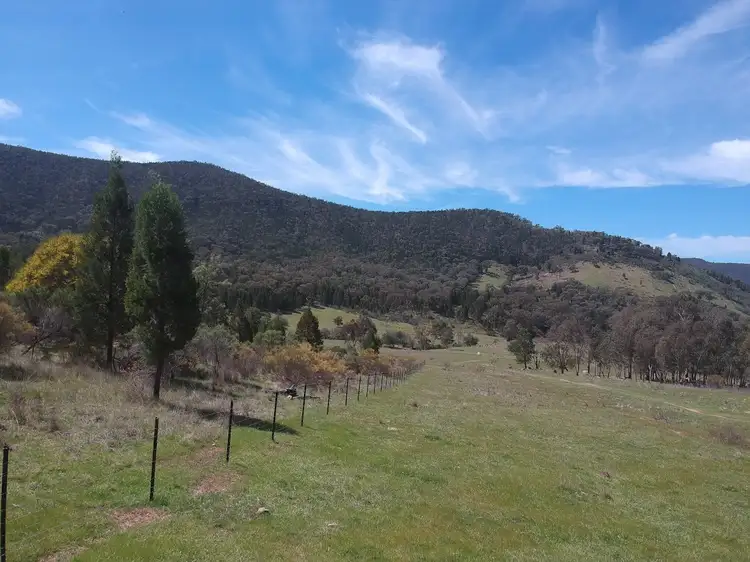 Sixth view of Homely rural property listing, 154 Patterson Lane, Gooloogong NSW 2805