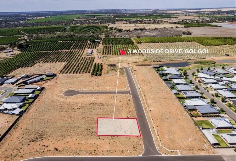 3 Woodside Drive, Gol Gol NSW 2738