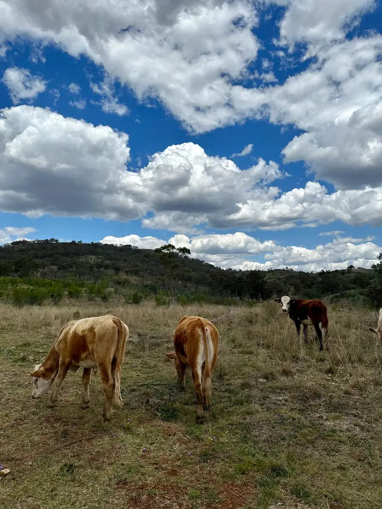 Third view of Homely rural property listing, Blakes Road, Silverwood QLD 4370